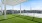 pet park with turf grass